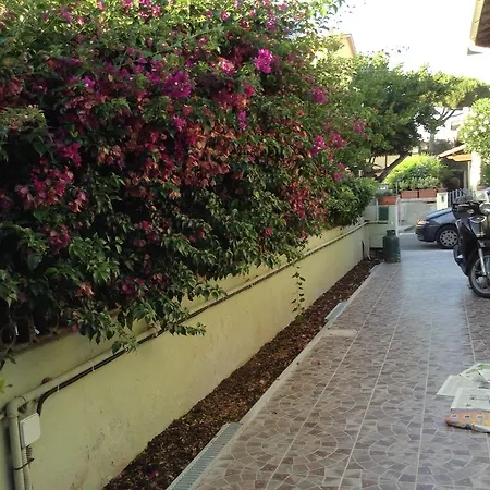 Apartament Franco *